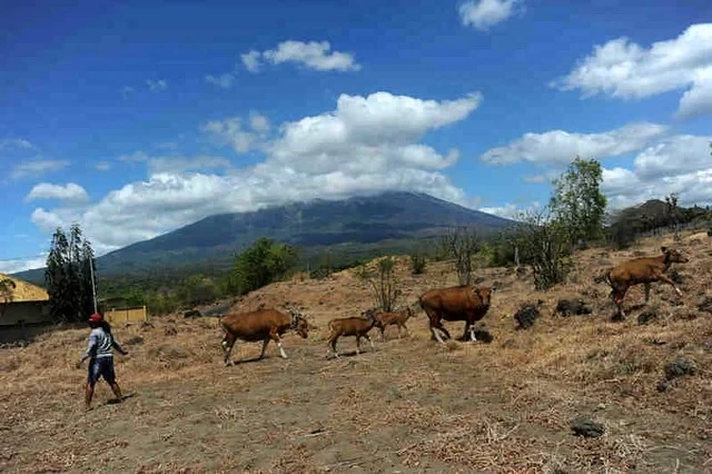 balipostcom_gempa-dangkal-semakin-kuat-gunung-agung-mengarah-ke-erupsi_01