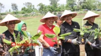 Bupati Arta
