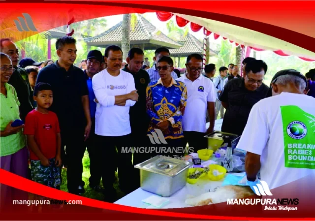 pemprov bali gencarkan vaksinasi hewan penular