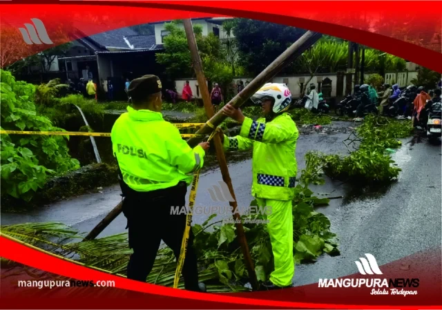 polsek abiansemal bantu evakuasi pohon tumbang
