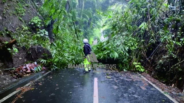 polsek abiansemal bantu evakuasi pohon tumbang1