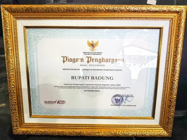 penghargaan upakarya wanua nugraha (6)