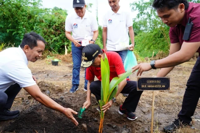 1000 pohon kelapa1