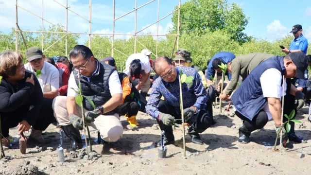 koster apresiasi gerakan tanam mangrove