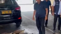 21 ekor penyu hijau kini diamankan di ditpolairud polda bali