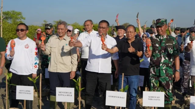 menteri lh dan gubernur koster tanam mangrove