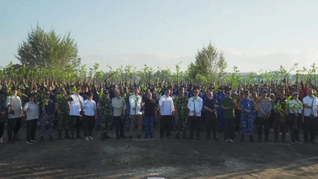 menteri lh dan gubernur koster tanam mangrove1
