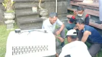satwa liar dilindungi ini dievakuasi oleh tim gabungan